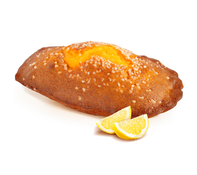 Madeleine géante citron 350g - St Michel