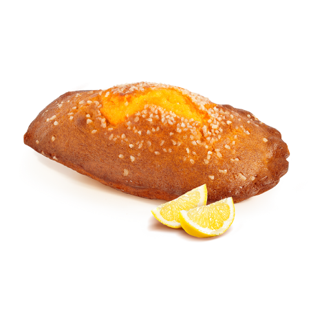 Madeleine géante citron 350g - St Michel