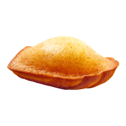 Madeleines moelleuses (x54) 1350g - St Michel